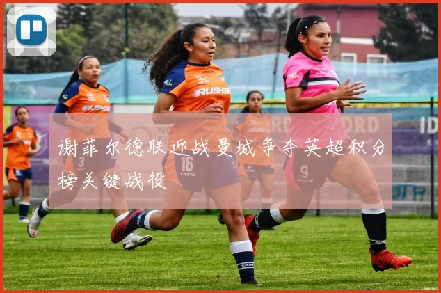 谢菲尔德联迎战曼城争夺英超积分榜关键战役